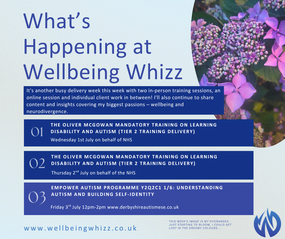 wellbeingwhizz weekly 290626